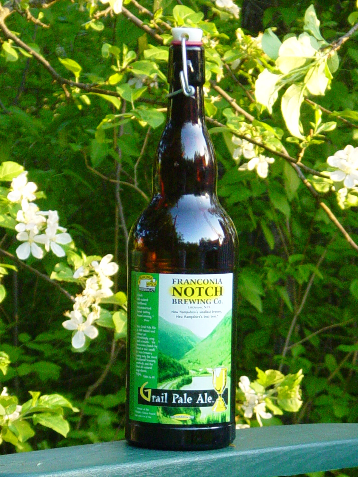 Grail Pale Ale bottle among blossoms