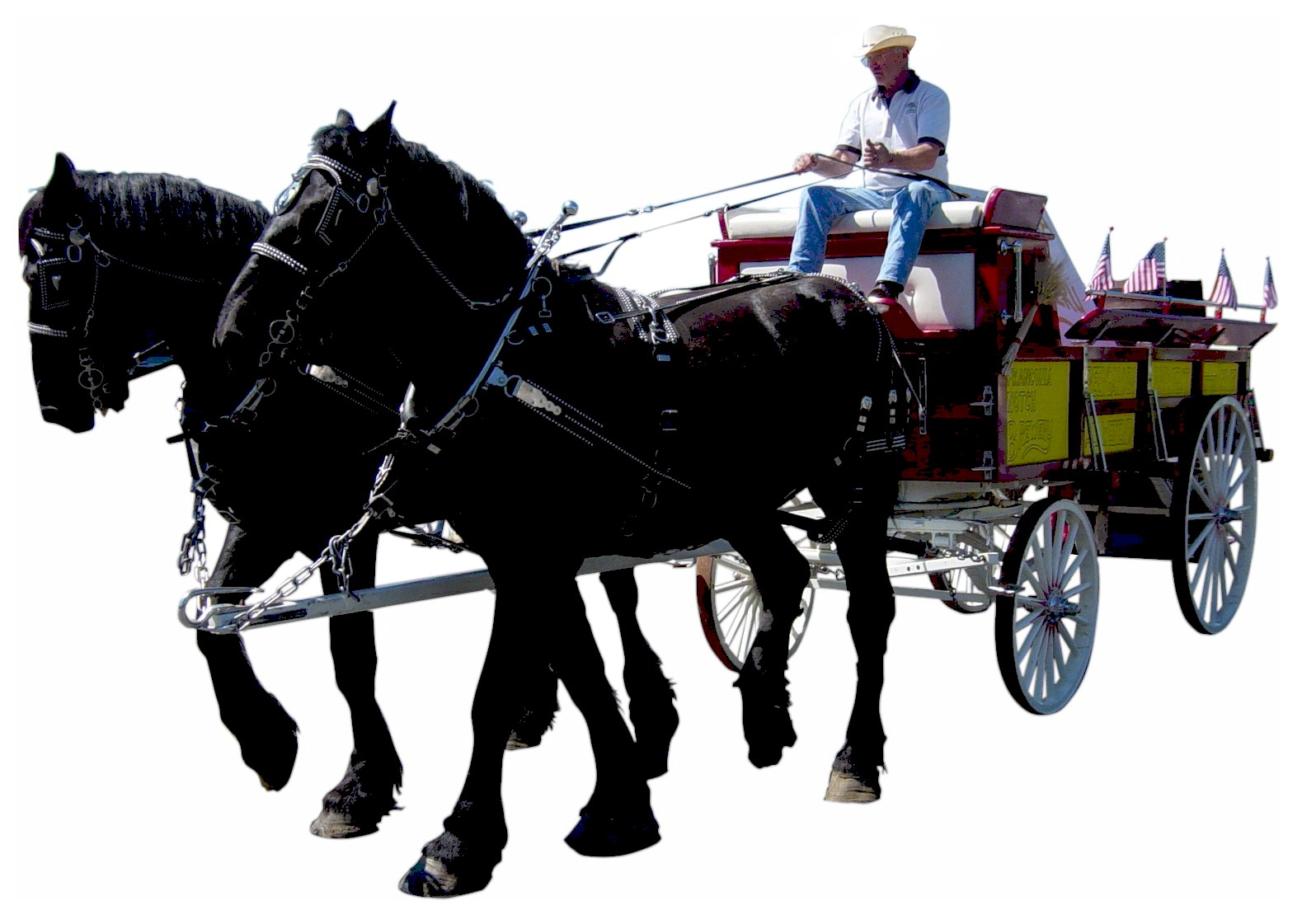 Horse-drawn beer wagon
