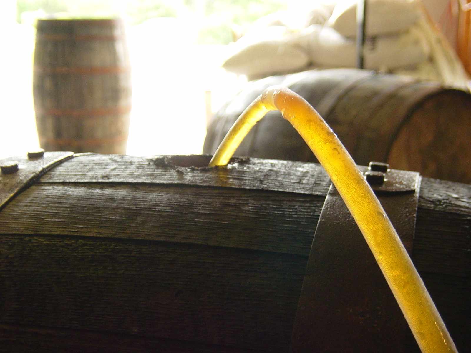 Beer flowing into whiskey barrel